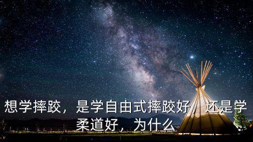 想學摔跤，是學自由式摔跤好，還是學柔道好，為什么