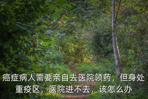 孝感疫區(qū)買(mǎi)藥怎么辦,孝感封城復(fù)工上班怎么辦