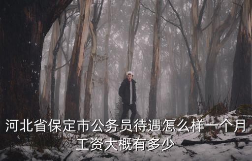 保定的基層公務員工資多少,請問鄉鎮公務員的工資多少