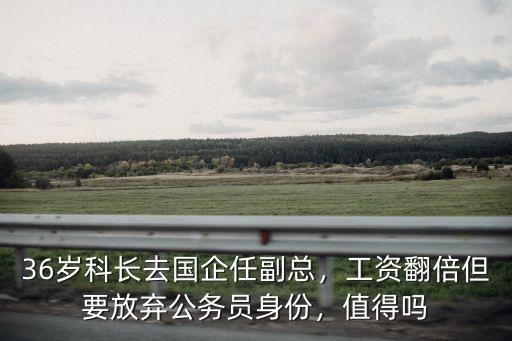 36歲科長去國企任副總，工資翻倍但要放棄公務員身份，值得嗎