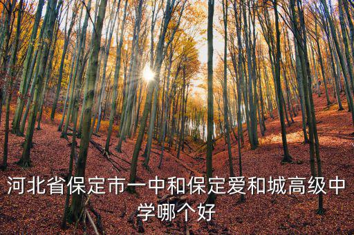 保定市一中高中多少個班,保定市除了一中三中以外