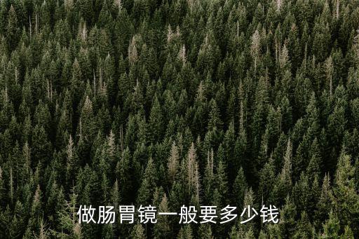 做腸胃鏡一般要多少錢