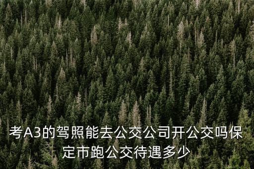 保定市的公交車司機月工資多少,公交車司機月工資是多少