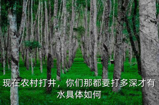 石家莊打井多少米有水,多少米能有水