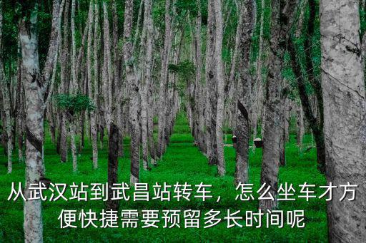 在武漢市去武昌站怎么坐車,怎么坐車才方便快捷