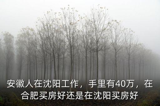 安徽人在沈陽工作，手里有40萬，在合肥買房好還是在沈陽買房好