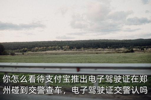 電子駕照鄭州不認可怎么辦嗎,鄭州支付寶電子駕照管用嗎