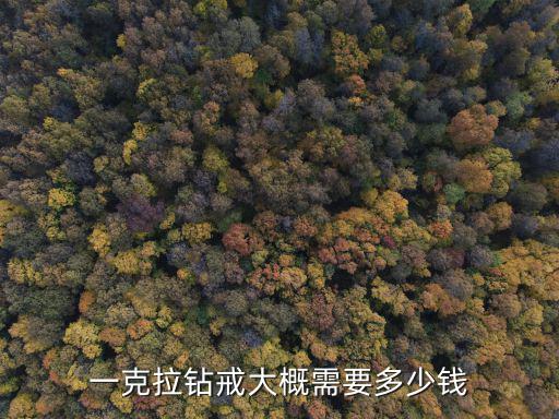 蕪湖一克拉鉆戒多少錢,一克拉鉆戒多少錢