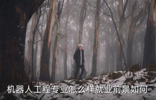 機(jī)器人工程專(zhuān)業(yè)怎么樣就業(yè)前景如何