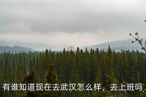 有誰知道現(xiàn)在去武漢怎么樣，去上班嗎