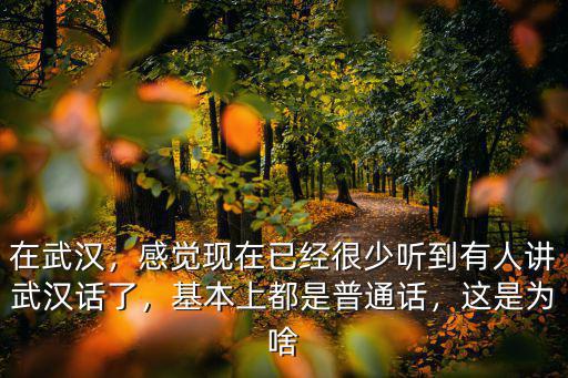 瞎扯的武漢話怎么講,武漢人究竟說的是什么話