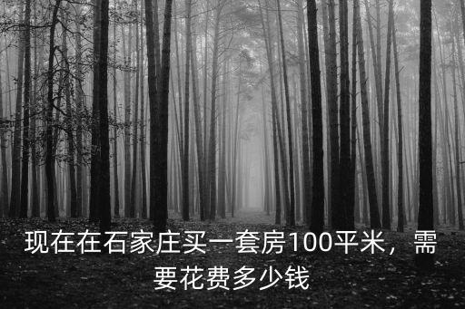 石家莊現(xiàn)在的期房是多少錢,現(xiàn)在買套房要多少錢