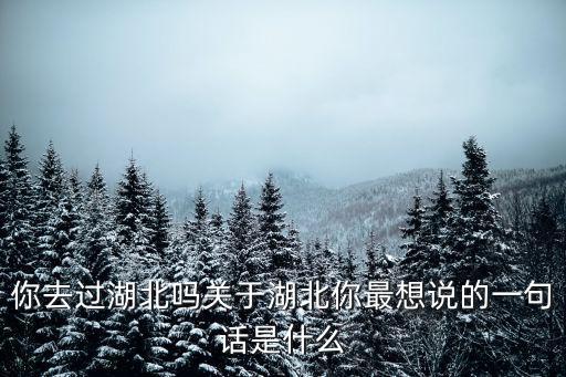 怎么知道你去過湖北,你去過湖北嗎