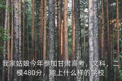 我家姑娘今年參加甘肅高考，文科，二模480分，能上什么樣的學校