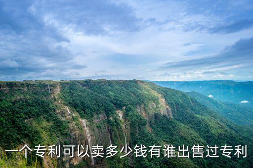 一個專利可以賣多少錢有誰出售過專利