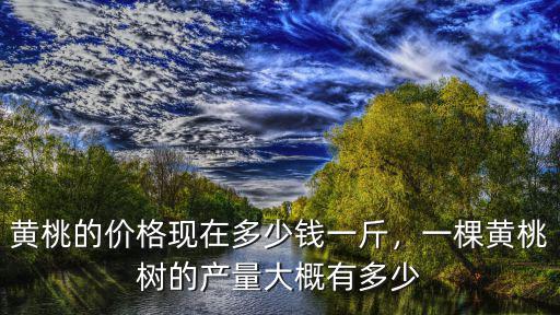 黃桃的價格現(xiàn)在多少錢一斤，一棵黃桃樹的產(chǎn)量大概有多少