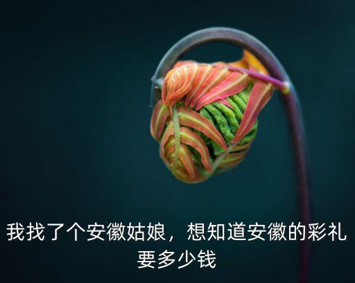 安徽伊味兒要多少錢,想知道安徽的彩禮要多少錢
