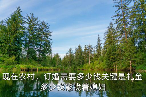 現在農村，訂婚需要多少錢關鍵是禮金多少錢能找著媳婦