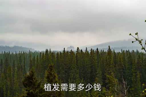 合肥植發得要多少錢,植發需要多少錢