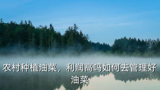 油菜每畝施復合肥多少斤,大約可以收多少斤油菜籽