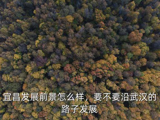 宜昌發展前景怎么樣，要不要沿武漢的路子發展