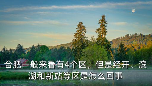 合肥一般來看有4個區，但是經開、濱湖和新站等區是怎么回事