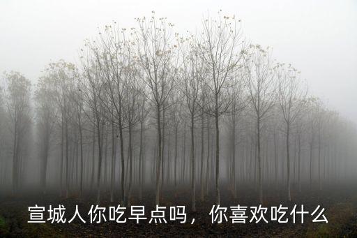 宣城人你吃早點(diǎn)嗎，你喜歡吃什么