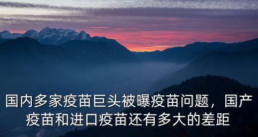 武漢怎么查打的疫苗種類,怎么查所打疫苗的批次