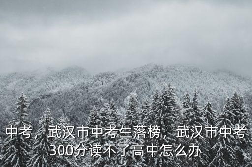中考，武漢市中考生落榜，武漢市中考300分讀不了高中怎么辦