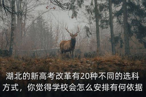 湖北的新高考改革有20種不同的選科方式，你覺得學校會怎么安排有何依據