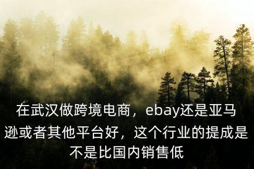 電商在武漢做怎么樣,在武漢做跨境電商
