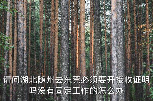 回隨州怎么辦接收證明,但是接受證明怎么辦