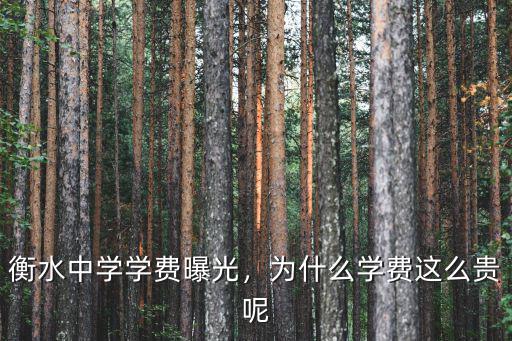 衡水市第二中學學費多少,衡水中學學費曝光