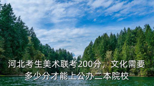 河北美術聯考多少能上一本,河北美術聯考249分