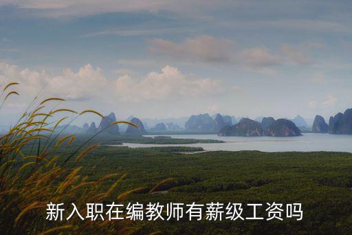 新入職在編教師有薪級工資嗎