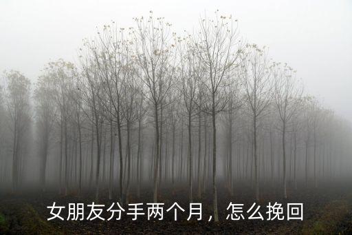 女朋友分手兩個月，怎么挽回