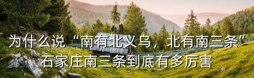 南石家莊小學(xué)有多少人,石家莊南三條到底有多厲害