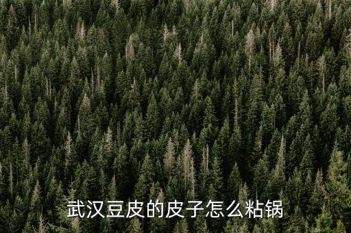 武漢豆皮怎么熱好吃,武漢豆皮的皮子怎么粘鍋