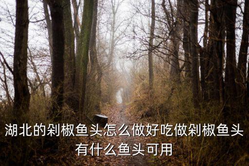 湖北的剁椒魚頭怎么做好吃做剁椒魚頭有什么魚頭可用