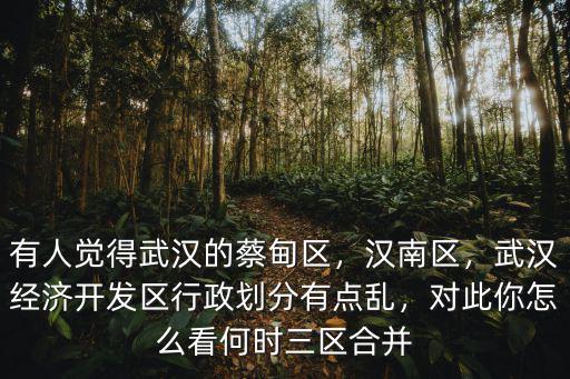 武漢蔡甸人的口碑怎么樣,你認識的武漢人是怎么樣的