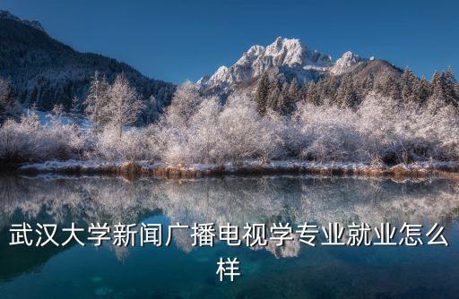 武漢大學電子信息專業(yè)畢業(yè)薪資怎么樣,武漢大學電子信息專業(yè)好嗎