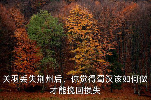 關羽丟失荊州后，你覺得蜀漢該如何做才能挽回損失