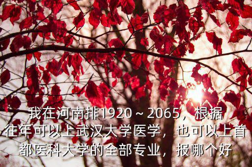 河南排多少名能上武漢大學(xué),河南應(yīng)屆考生報考武漢大學(xué)