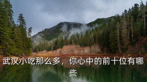 武漢良心小吃怎么樣,在武漢做小吃生意怎么樣