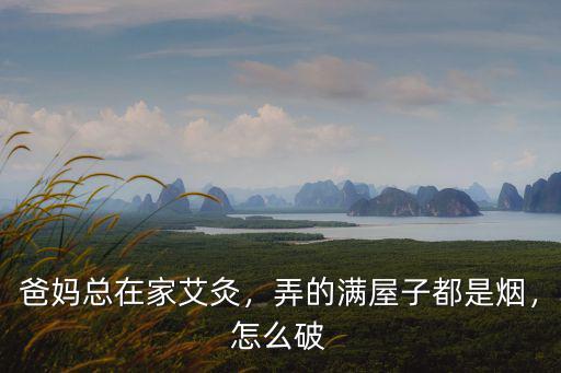 爸媽總在家艾灸，弄的滿屋子都是煙，怎么破