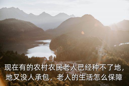 現在有的農村農民老人已經種不了地，地又沒人承包，老人的生活怎么保障