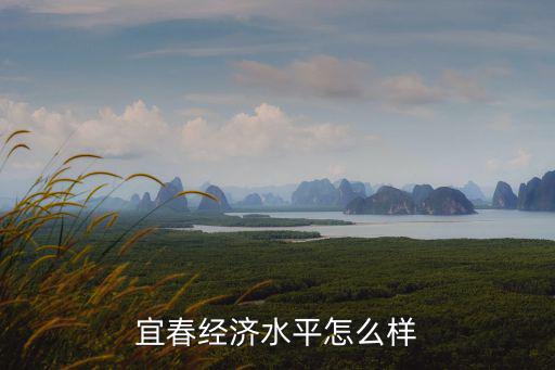 宜春宣城經濟怎么樣人口有多少,經濟發展水平怎么樣
