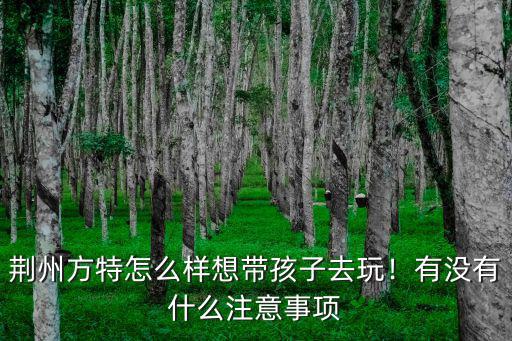 決戰荊州怎么玩,荊州方特怎么樣