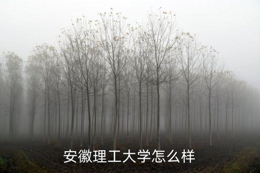 安徽理工大學(xué)怎么樣