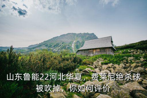 山東魯能22河北華夏，費萊尼絕殺球被吹掉，你如何評價